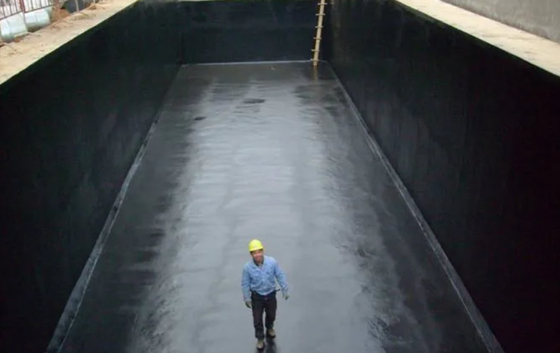 Bahan Apa yang Paling Baik untuk Waterproofing Pool?